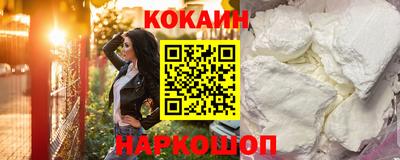 мдпв Кингисепп