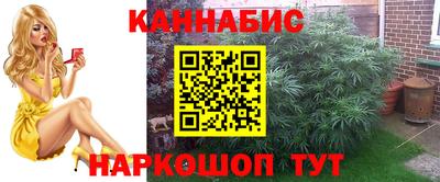 мдпв Кингисепп