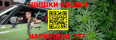 мдпв Кингисепп