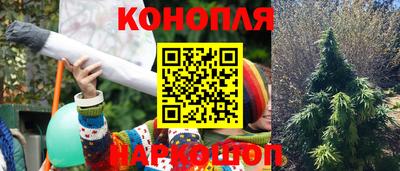 мдпв Кингисепп